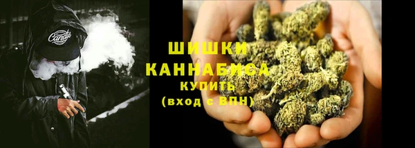 прущие крисы Няндома