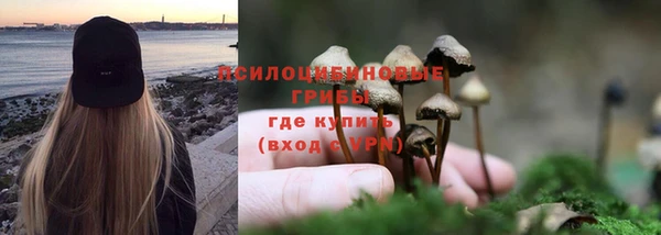 прущие крисы Бежецк