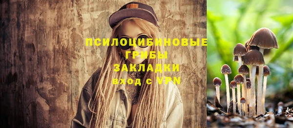 прущие крисы Няндома