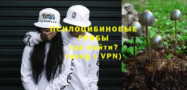 герыч Новозыбков