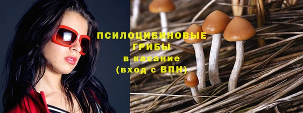 герыч Новозыбков