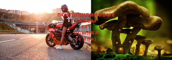 2c-b Беслан
