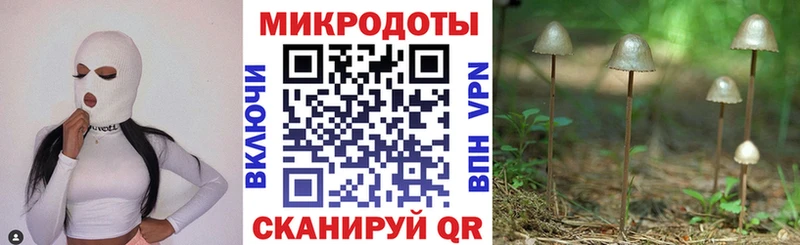 Галлюциногенные грибы GOLDEN TEACHER  где купить наркоту  Ивантеевка 
