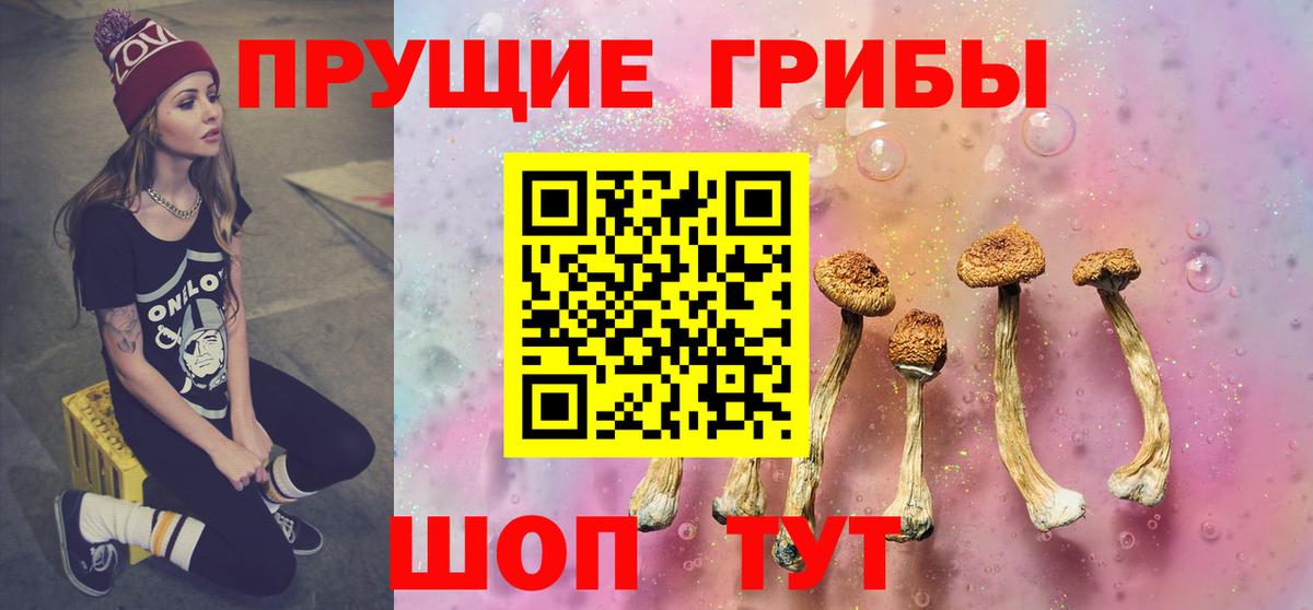 Галлюциногенные грибы прущие грибы  Вход с VPN  Ивантеевка 